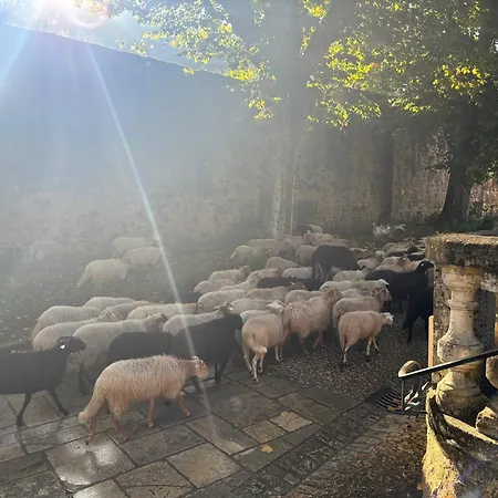 Hotellerie De L'abbaye Amand B&B 3*